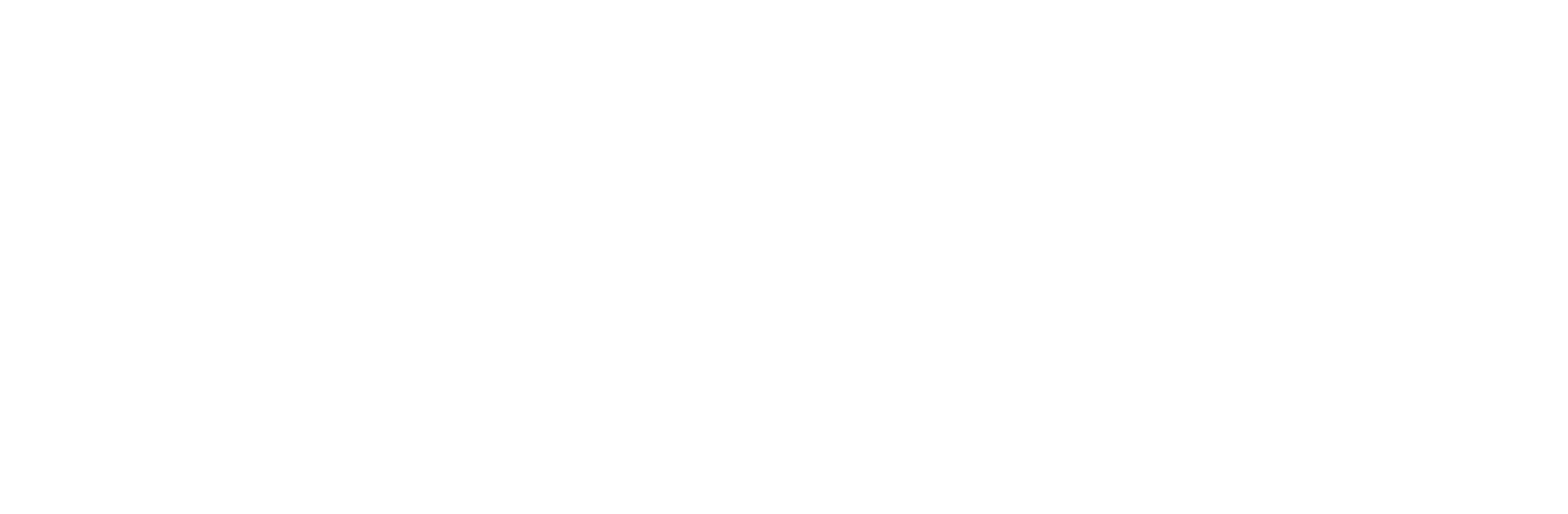 solntcanet.by